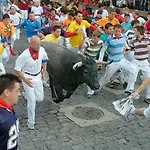 Met Pamplona